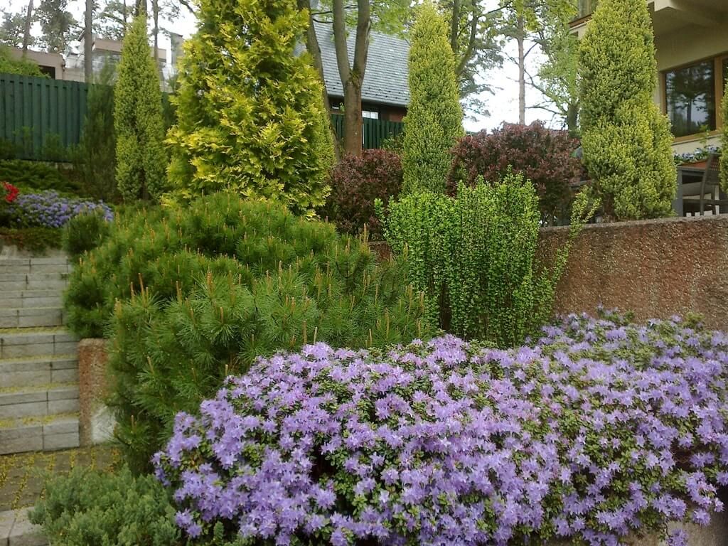 Private house garden maintenance 9
