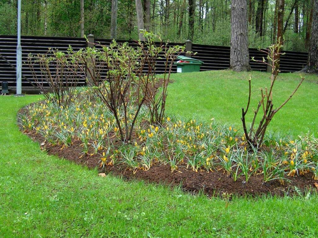 Private house garden maintenance 4