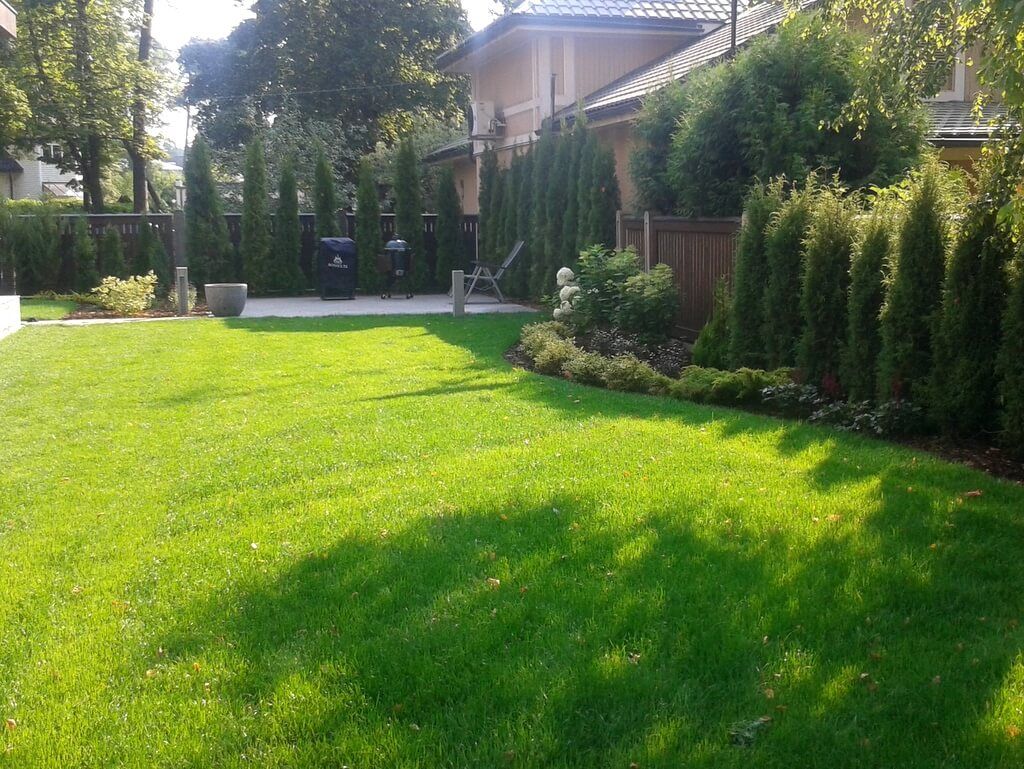 Private house garden maintenance 7