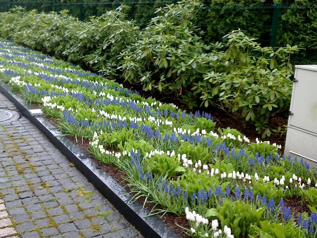 Private house garden maintenance 8