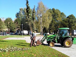 Pīlādžu dižstādu stādīšana 109 gb., 5200m2 zāliena ierīkošana ar reljefā izveidotām zāliena piramīdām, dekoratīvie stādījumi 280 m2, kā arī mazo arhitektūras formu uzstādīšana 8