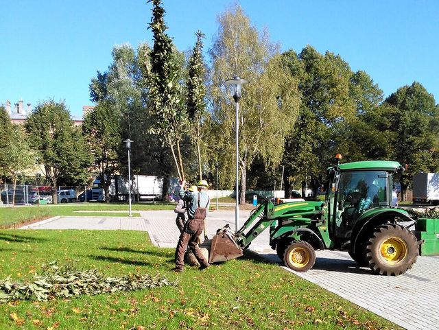 Pīlādžu dižstādu stādīšana 109 gb., 5200m2 zāliena ierīkošana ar reljefā izveidotām zāliena piramīdām, dekoratīvie stādījumi 280 m2, kā arī mazo arhitektūras formu uzstādīšana 8