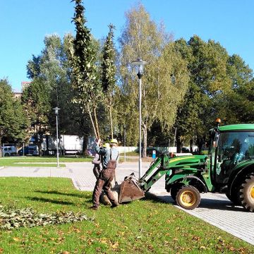 Pīlādžu dižstādu stādīšana 109 gb., 5200m2 zāliena ierīkošana ar reljefā izveidotām zāliena piramīdām, dekoratīvie stādījumi 280 m2, kā arī mazo arhitektūras formu uzstādīšana 8
