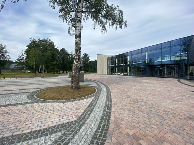 Segumu izbūve, zāliena un apstādījumu ierīkošana 1