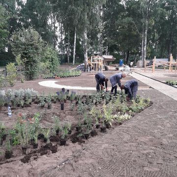 Zāliena un apstādījumu ierīkošana 4