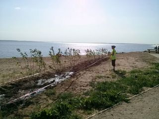 sporta laukumu izbūve, labiekārtojuma elementu uzstādīšana, rotaļu iekārtu un sporta inventāra piegāde un uzstādīšana, zāliena un apstādījumu ierīkošana 11