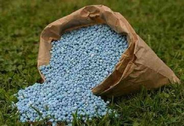 Fertalization