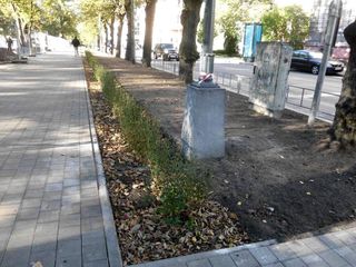 Betona un granīta bruģa/plākšņu ieklāšana ceļiem un laukumiem, ar zālienšūnām stiprināta grants seguma izveide, grants celiņa izbūve koku alejā, ceļa barjeras uzstādīšana, jumta dārza ierīkošana, zāliena un apstādījumu ierīkošana, labiekārtojuma elementu uzstādīšana 9