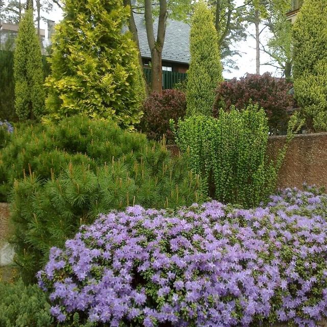 Private house garden maintenance 9