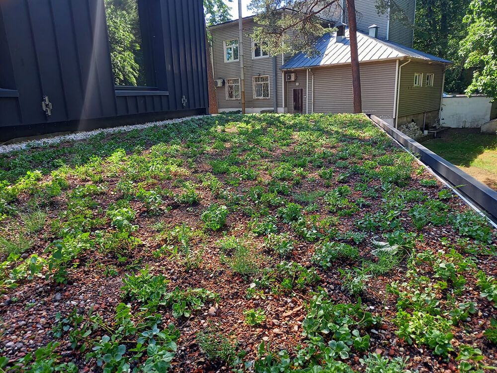 Roof gardens 3