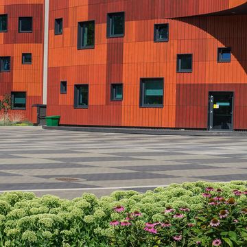 Zāliena un apstādījumu ierīkošana, jumta dārza izveide 1