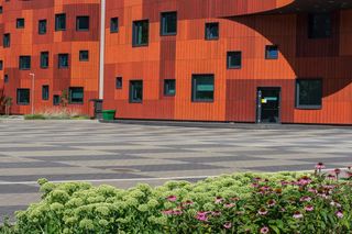 Zāliena un apstādījumu ierīkošana, jumta dārza izveide 1