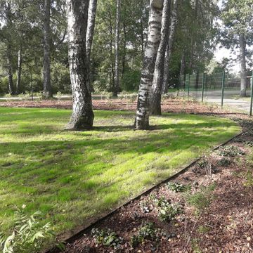 Zāliena un apstādījumu ierīkošana 10