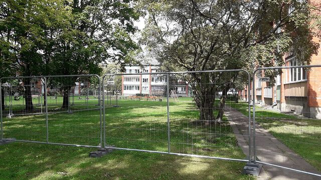 Bruģa seguma izbūve teritorijā, apstādījumu ierīkošana, labiekārtojuma elementu uzstādīšana 5
