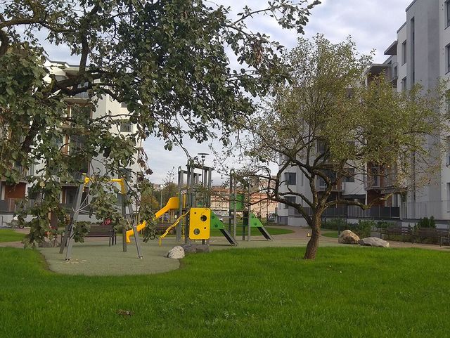 Apzaļumošanas un labiekārtošanas darbi, ceļu izbūve 3