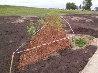 sporta laukumu izbūve, labiekārtojuma elementu uzstādīšana, rotaļu iekārtu un sporta inventāra piegāde un uzstādīšana, zāliena un apstādījumu ierīkošana 13