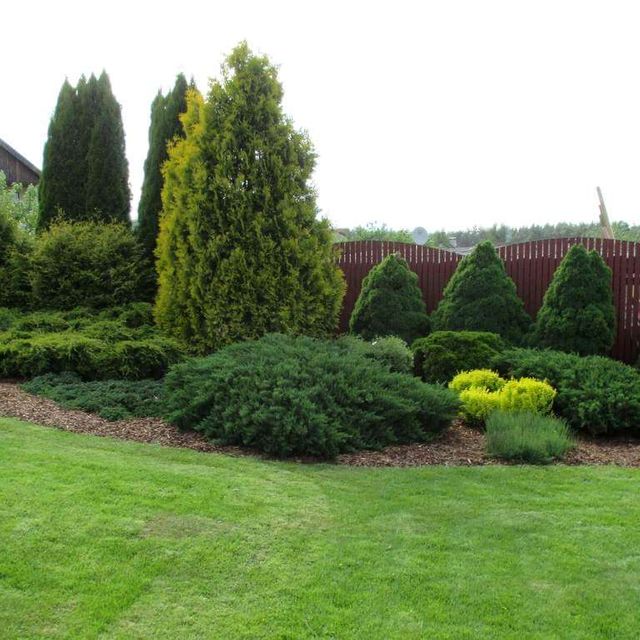 Private house garden maintenance 1