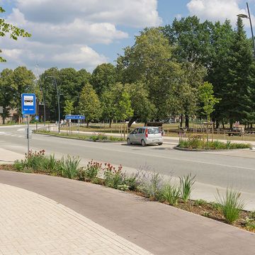 Zāliena un apstādījumu ierīkošana 8