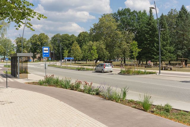 Zāliena un apstādījumu ierīkošana 8