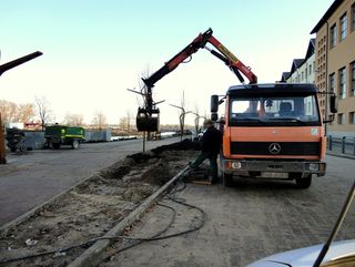 Koku, krūmu, ziemciešu stādījumi, zālienu ierīkošana, nogāžu stiprināšana ar ģeopaklājiem un paklājzālienu 4