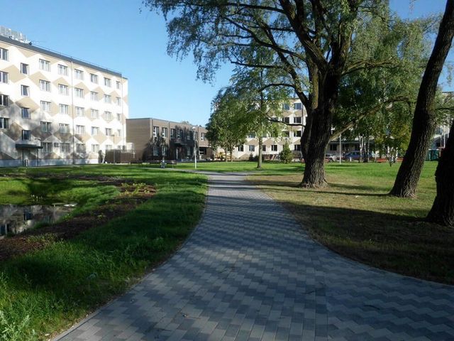 Bruģa un asfalta ieklāšana ceļiem un laukumiem, zāliena un apstādījumu ierīkošana, labiekārtojuma elementu uzstādīšana 21