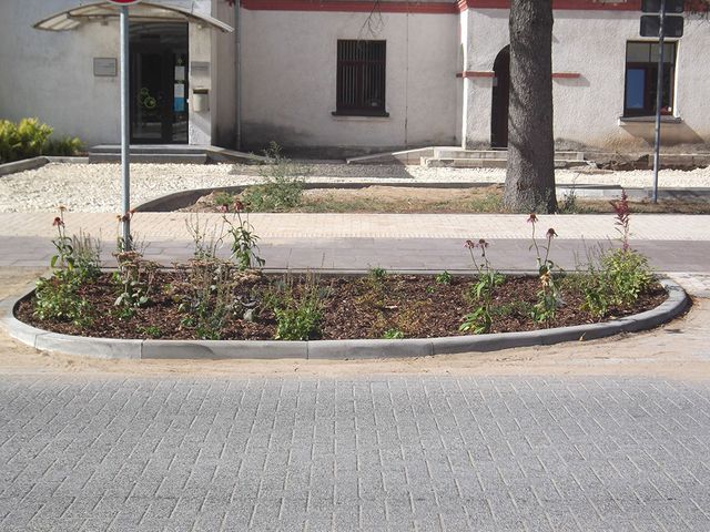 Zāliena un apstādījumu ierīkošana 1