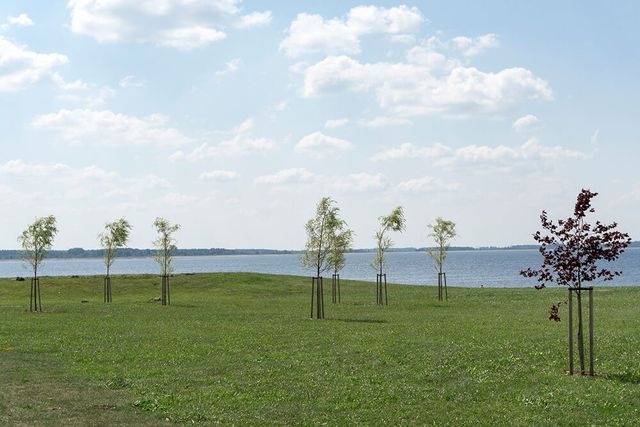 sporta laukumu izbūve, labiekārtojuma elementu uzstādīšana, rotaļu iekārtu un sporta inventāra piegāde un uzstādīšana, zāliena un apstādījumu ierīkošana 6