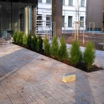 Pīlādžu dižstādu stādīšana 109 gb., 5200m2 zāliena ierīkošana ar reljefā izveidotām zāliena piramīdām, dekoratīvie stādījumi 280 m2, kā arī mazo arhitektūras formu uzstādīšana 13
