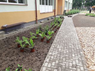 Zāliena un apstādījumu ierīkošana 6