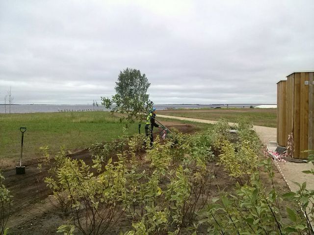 sporta laukumu izbūve, labiekārtojuma elementu uzstādīšana, rotaļu iekārtu un sporta inventāra piegāde un uzstādīšana, zāliena un apstādījumu ierīkošana 12