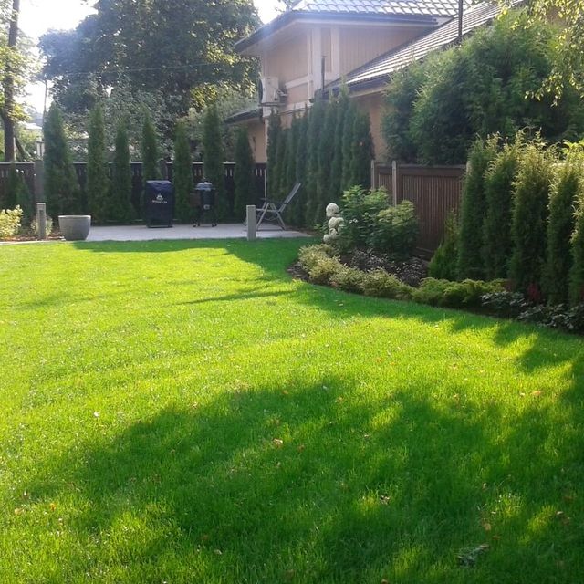 Private house garden maintenance 7
