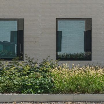 Zāliena un apstādījumu ierīkošana, jumta dārza izveide 4