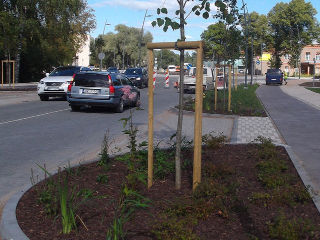 Zāliena un apstādījumu ierīkošana 4