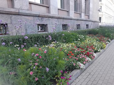 Sabiedrisko un industriālo objektu kopšana 2