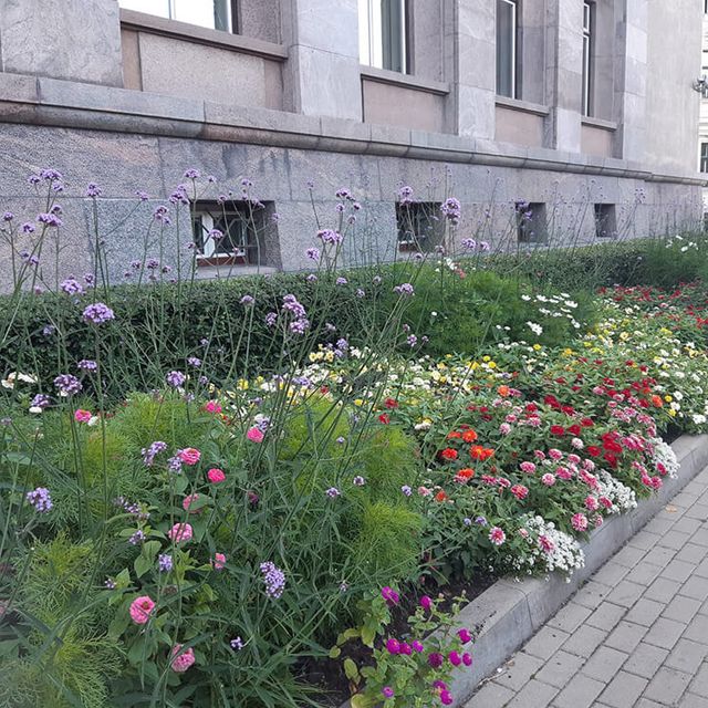 Maintenance - public space 2