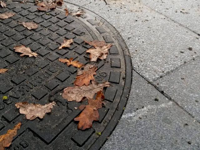 Betona un granīta bruģa/plākšņu ieklāšana ceļiem un laukumiem, ar zālienšūnām stiprināta grants seguma izveide, grants celiņa izbūve koku alejā, ceļa barjeras uzstādīšana, jumta dārza ierīkošana, zāliena un apstādījumu ierīkošana, labiekārtojuma elementu uzstādīšana 15