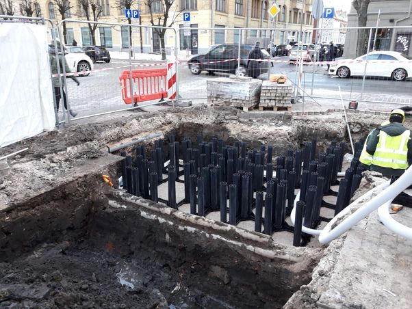 Koku un krūmu stādījumu ierīkošana, apstādījumu ierīkošana Alejas projekti 2