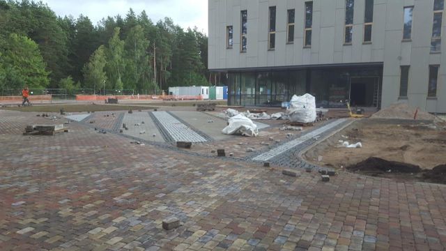 Segumu izbūve, zāliena un apstādījumu ierīkošana 9