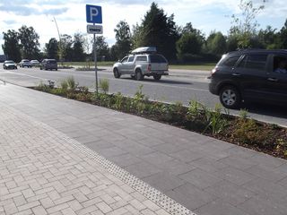 Zāliena un apstādījumu ierīkošana 7