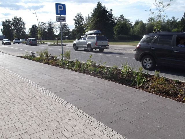 Zāliena un apstādījumu ierīkošana 7