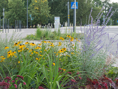 Flower bed installation