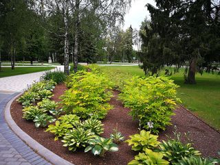 Apzaļumošanas darbi 13