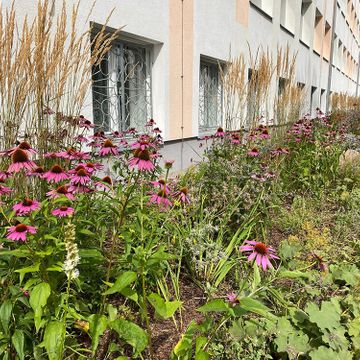 Apstādījumu ierīkošana, labiekārtojuma elementu uzstādīšana 2