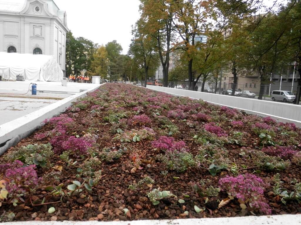 Roof gardens 7