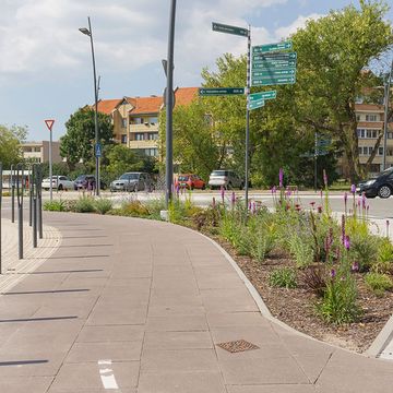 Zāliena un apstādījumu ierīkošana 10