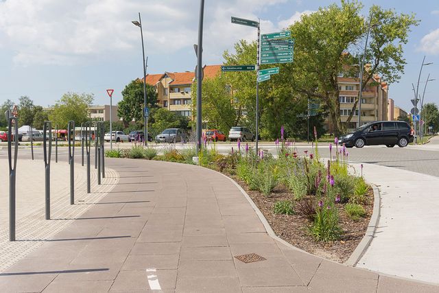 Zāliena un apstādījumu ierīkošana 10