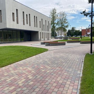 Segumu izbūve, zāliena un apstādījumu ierīkošana 4