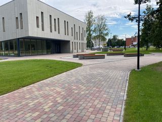 Segumu izbūve, zāliena un apstādījumu ierīkošana 4