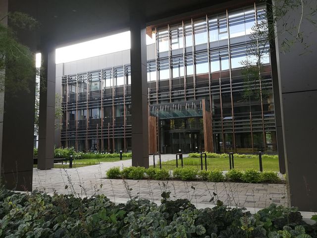 Pīlādžu dižstādu stādīšana 109 gb., 5200m2 zāliena ierīkošana ar reljefā izveidotām zāliena piramīdām, dekoratīvie stādījumi 280 m2, kā arī mazo arhitektūras formu uzstādīšana 4