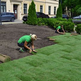 The lawn installation 2